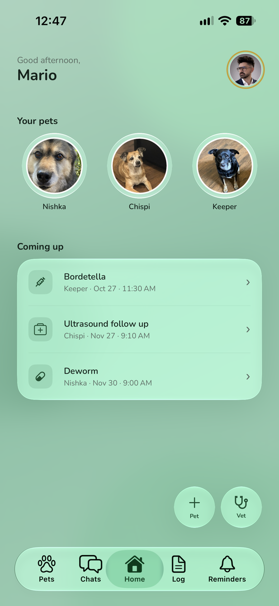 Ostler’s home screen: Bella and Milo, with Apoquel, Flea & tick, a rabies booster and an ear recheck listed under Coming up.
